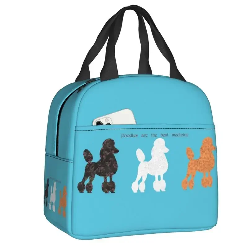 Women'S Best Bags For Work - France Standard Poodle Insulated Lunch Bag